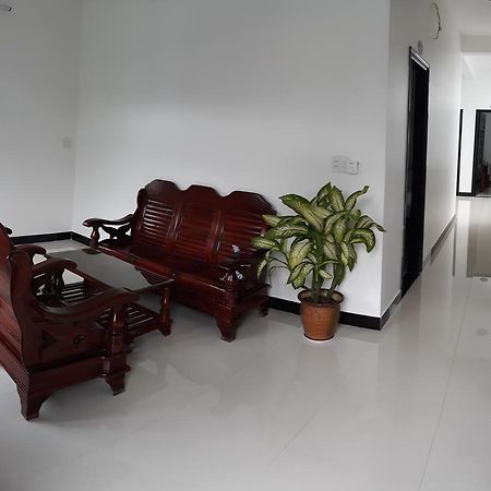 Thao Hieu Homestay 호이안 외부 사진